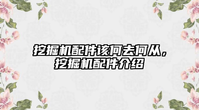 挖掘機(jī)配件該何去何從，挖掘機(jī)配件介紹