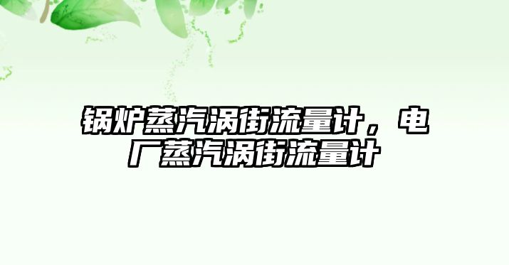 鍋爐蒸汽渦街流量計，電廠蒸汽渦街流量計