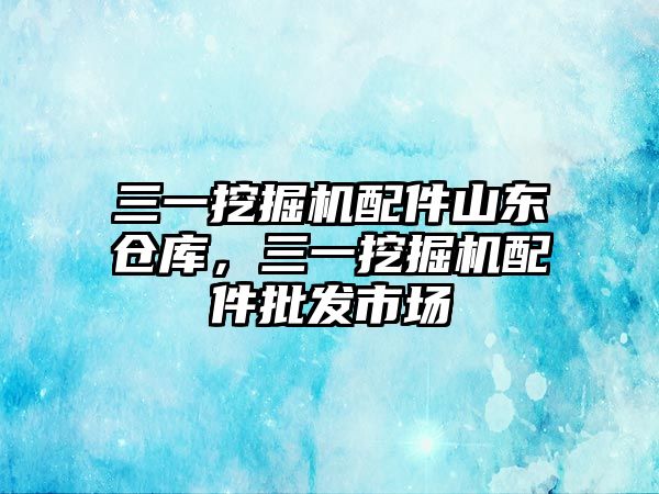 三一挖掘機配件山東倉庫，三一挖掘機配件批發(fā)市場