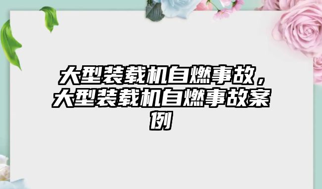 大型裝載機自燃事故，大型裝載機自燃事故案例