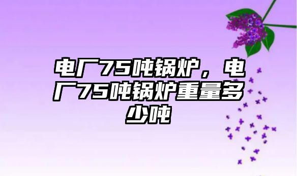 電廠75噸鍋爐，電廠75噸鍋爐重量多少噸