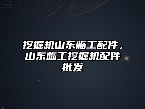 挖掘機山東臨工配件，山東臨工挖掘機配件批發(fā)