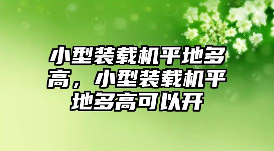 小型裝載機平地多高，小型裝載機平地多高可以開