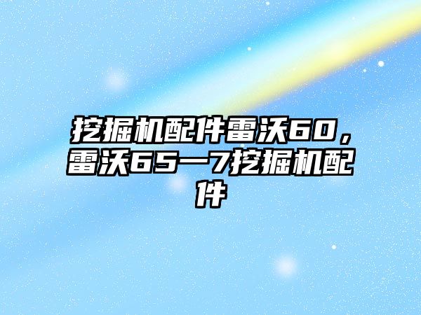 挖掘機(jī)配件雷沃60，雷沃65一7挖掘機(jī)配件