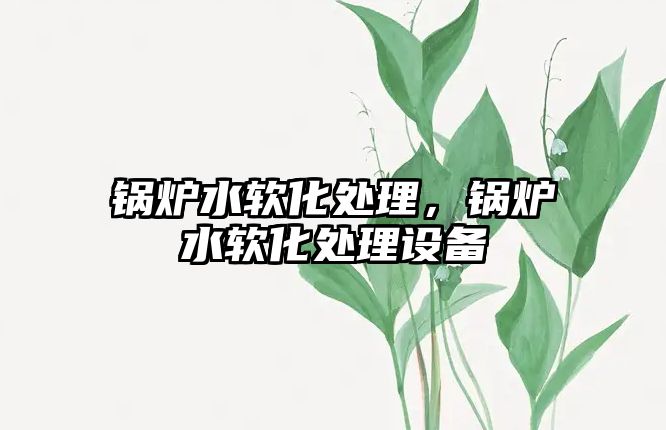 鍋爐水軟化處理，鍋爐水軟化處理設(shè)備