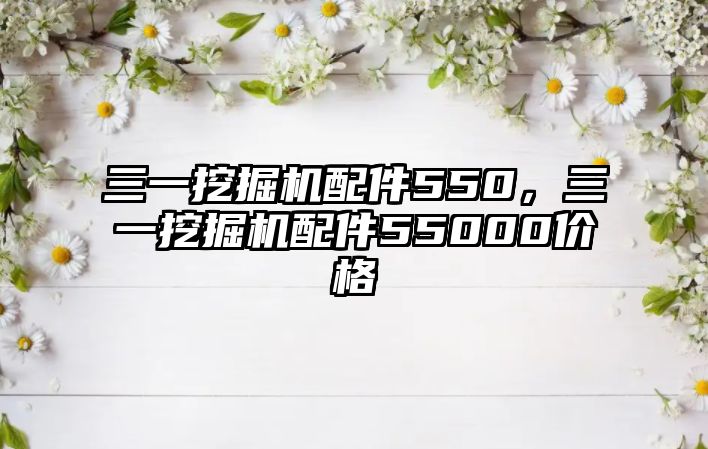 三一挖掘機(jī)配件550，三一挖掘機(jī)配件55000價(jià)格