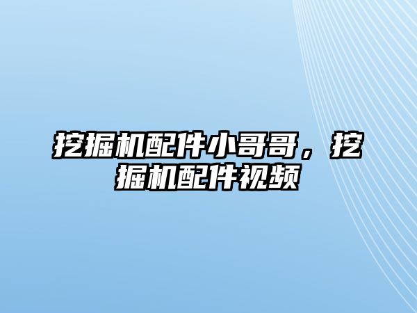 挖掘機配件小哥哥，挖掘機配件視頻