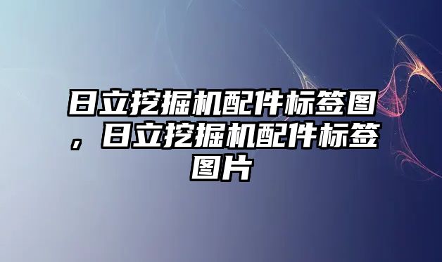 日立挖掘機配件標簽圖，日立挖掘機配件標簽圖片