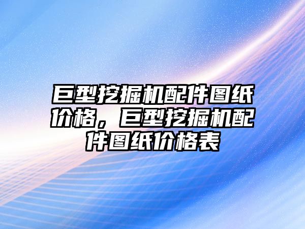 巨型挖掘機配件圖紙價格，巨型挖掘機配件圖紙價格表