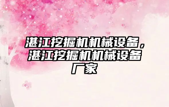 湛江挖掘機機械設備，湛江挖掘機機械設備廠家