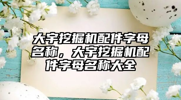 大宇挖掘機配件字母名稱，大宇挖掘機配件字母名稱大全