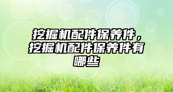 挖掘機配件保養(yǎng)件，挖掘機配件保養(yǎng)件有哪些