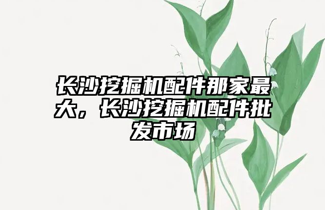 長沙挖掘機配件那家最大，長沙挖掘機配件批發(fā)市場