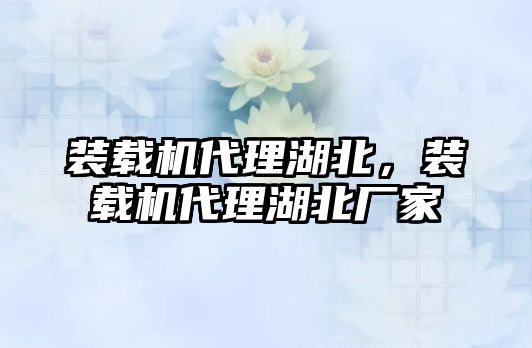 裝載機(jī)代理湖北，裝載機(jī)代理湖北廠家