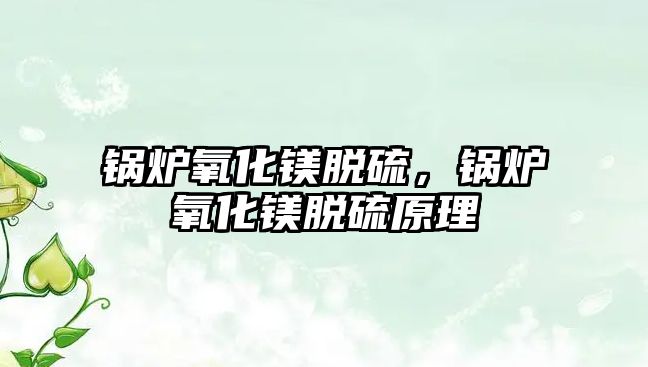 鍋爐氧化鎂脫硫，鍋爐氧化鎂脫硫原理