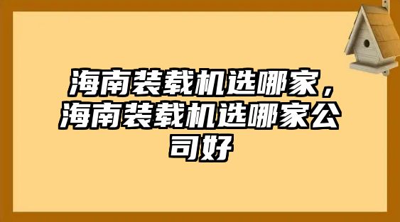 海南裝載機(jī)選哪家，海南裝載機(jī)選哪家公司好