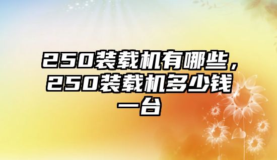 250裝載機(jī)有哪些，250裝載機(jī)多少錢一臺