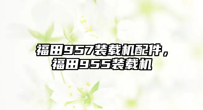 福田957裝載機(jī)配件，福田955裝載機(jī)