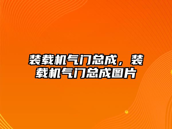 裝載機氣門總成，裝載機氣門總成圖片