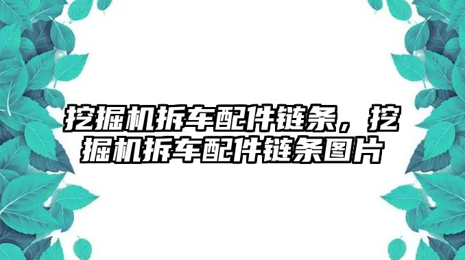 挖掘機拆車配件鏈條，挖掘機拆車配件鏈條圖片