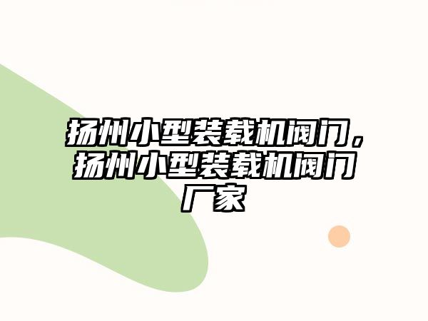 揚州小型裝載機閥門，揚州小型裝載機閥門廠家