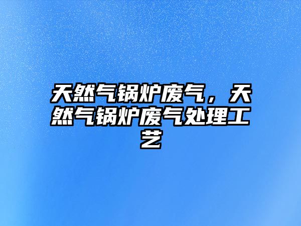 天然氣鍋爐廢氣，天然氣鍋爐廢氣處理工藝