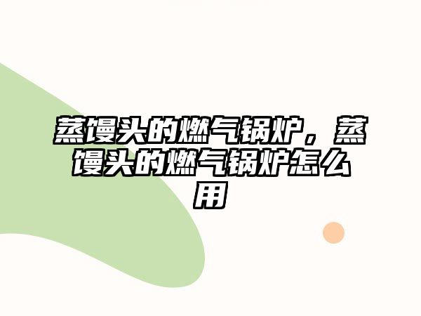 蒸饅頭的燃?xì)忮仩t，蒸饅頭的燃?xì)忮仩t怎么用