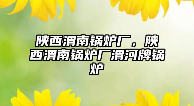 陜西渭南鍋爐廠，陜西渭南鍋爐廠渭河牌鍋爐