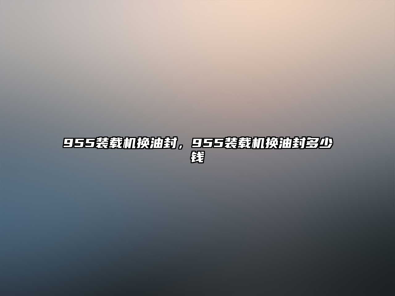 955裝載機(jī)換油封，955裝載機(jī)換油封多少錢