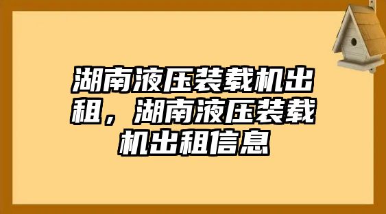 湖南液壓裝載機(jī)出租，湖南液壓裝載機(jī)出租信息