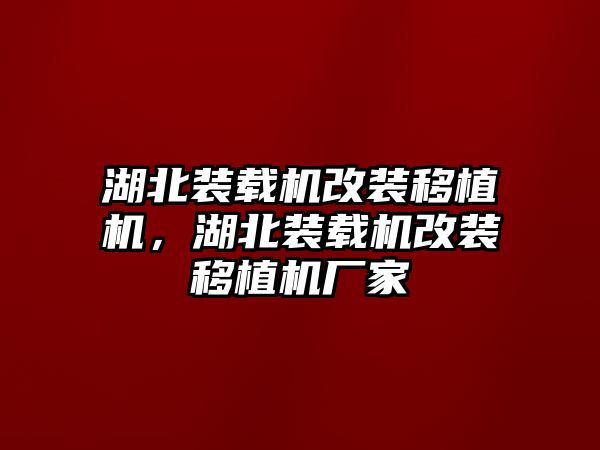 湖北裝載機改裝移植機，湖北裝載機改裝移植機廠家