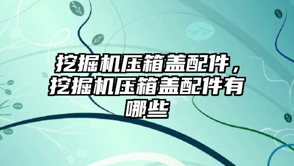 挖掘機壓箱蓋配件，挖掘機壓箱蓋配件有哪些