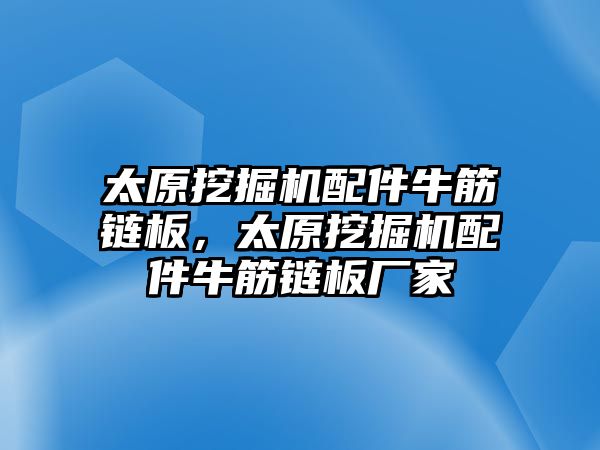 太原挖掘機配件牛筋鏈板，太原挖掘機配件牛筋鏈板廠家