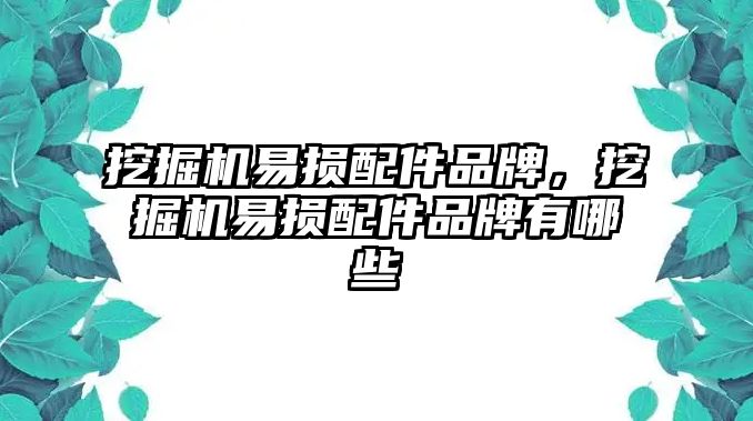 挖掘機(jī)易損配件品牌，挖掘機(jī)易損配件品牌有哪些