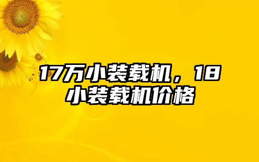 17萬小裝載機(jī)，18小裝載機(jī)價(jià)格