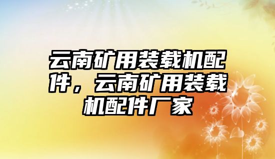 云南礦用裝載機配件，云南礦用裝載機配件廠家