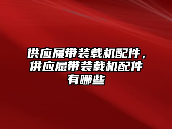 供應履帶裝載機配件，供應履帶裝載機配件有哪些