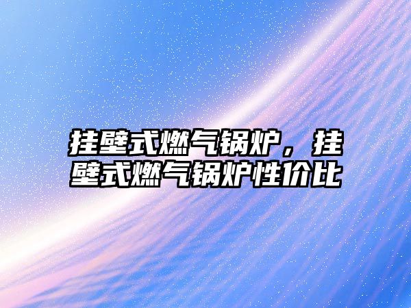 掛壁式燃?xì)忮仩t，掛壁式燃?xì)忮仩t性價比