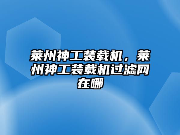 萊州神工裝載機，萊州神工裝載機過濾網(wǎng)在哪