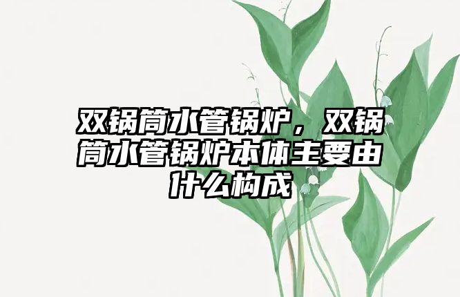 雙鍋筒水管鍋爐，雙鍋筒水管鍋爐本體主要由什么構(gòu)成