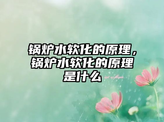 鍋爐水軟化的原理，鍋爐水軟化的原理是什么