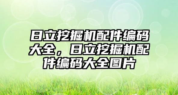 日立挖掘機配件編碼大全，日立挖掘機配件編碼大全圖片