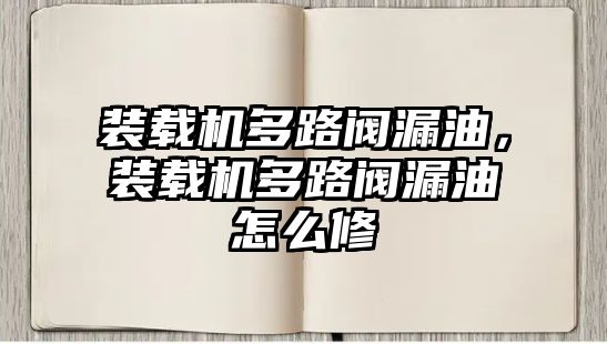 裝載機多路閥漏油，裝載機多路閥漏油怎么修