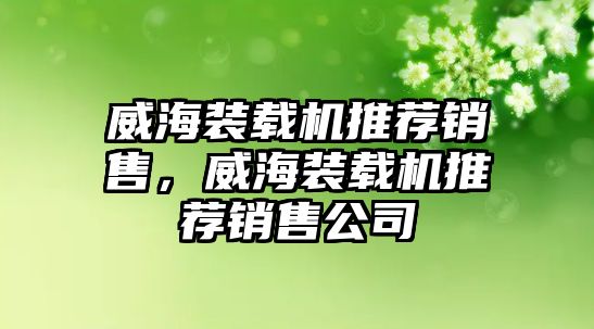 威海裝載機推薦銷售，威海裝載機推薦銷售公司