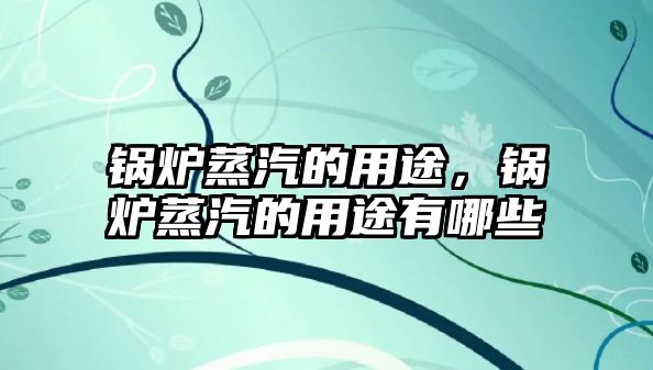 鍋爐蒸汽的用途，鍋爐蒸汽的用途有哪些