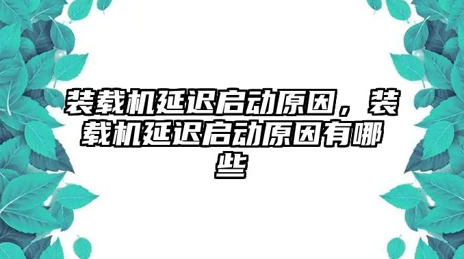 裝載機延遲啟動原因，裝載機延遲啟動原因有哪些