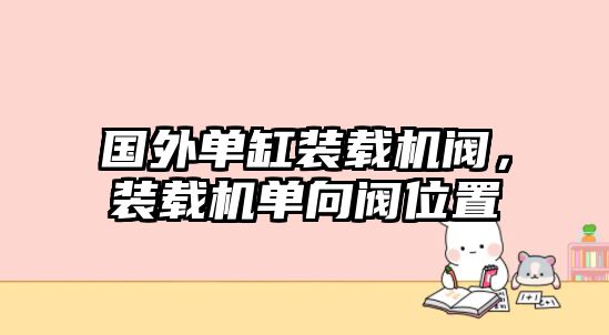 國外單缸裝載機(jī)閥，裝載機(jī)單向閥位置