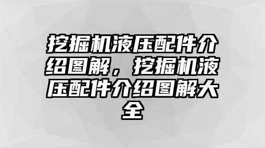 挖掘機液壓配件介紹圖解，挖掘機液壓配件介紹圖解大全