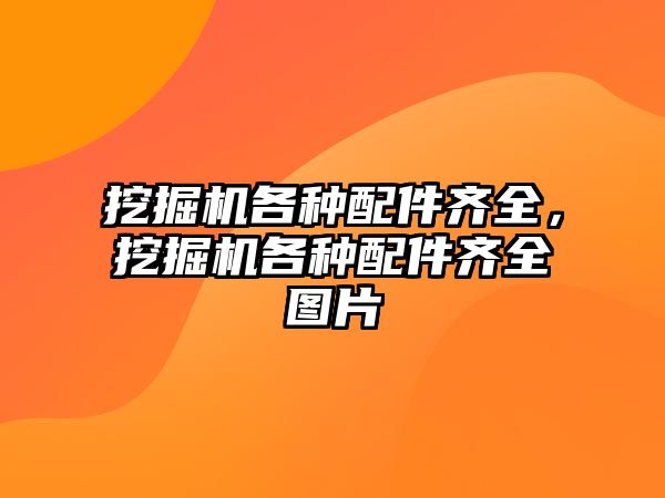 挖掘機各種配件齊全，挖掘機各種配件齊全圖片