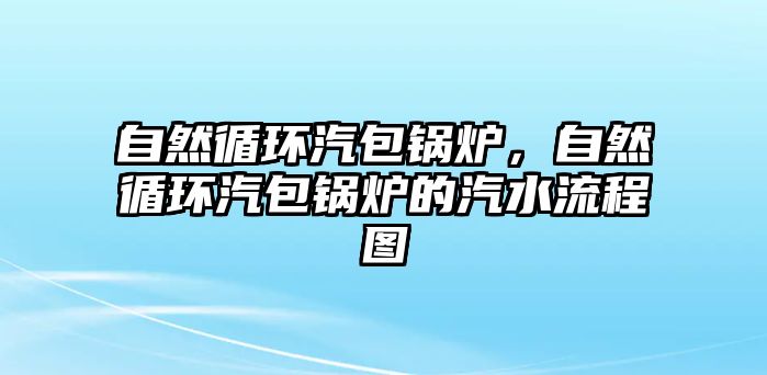 自然循環(huán)汽包鍋爐，自然循環(huán)汽包鍋爐的汽水流程圖